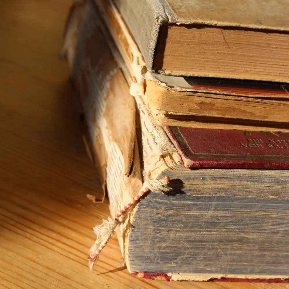 Coaching von Mag. Karlheinz Benke, MAS